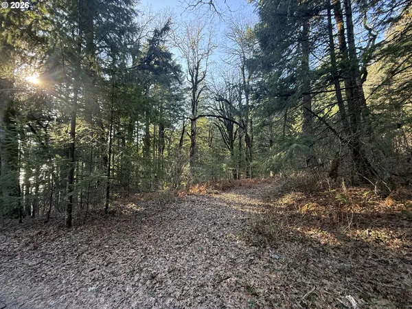 $375,000 | Seward Road, Stevenson, WA 98648