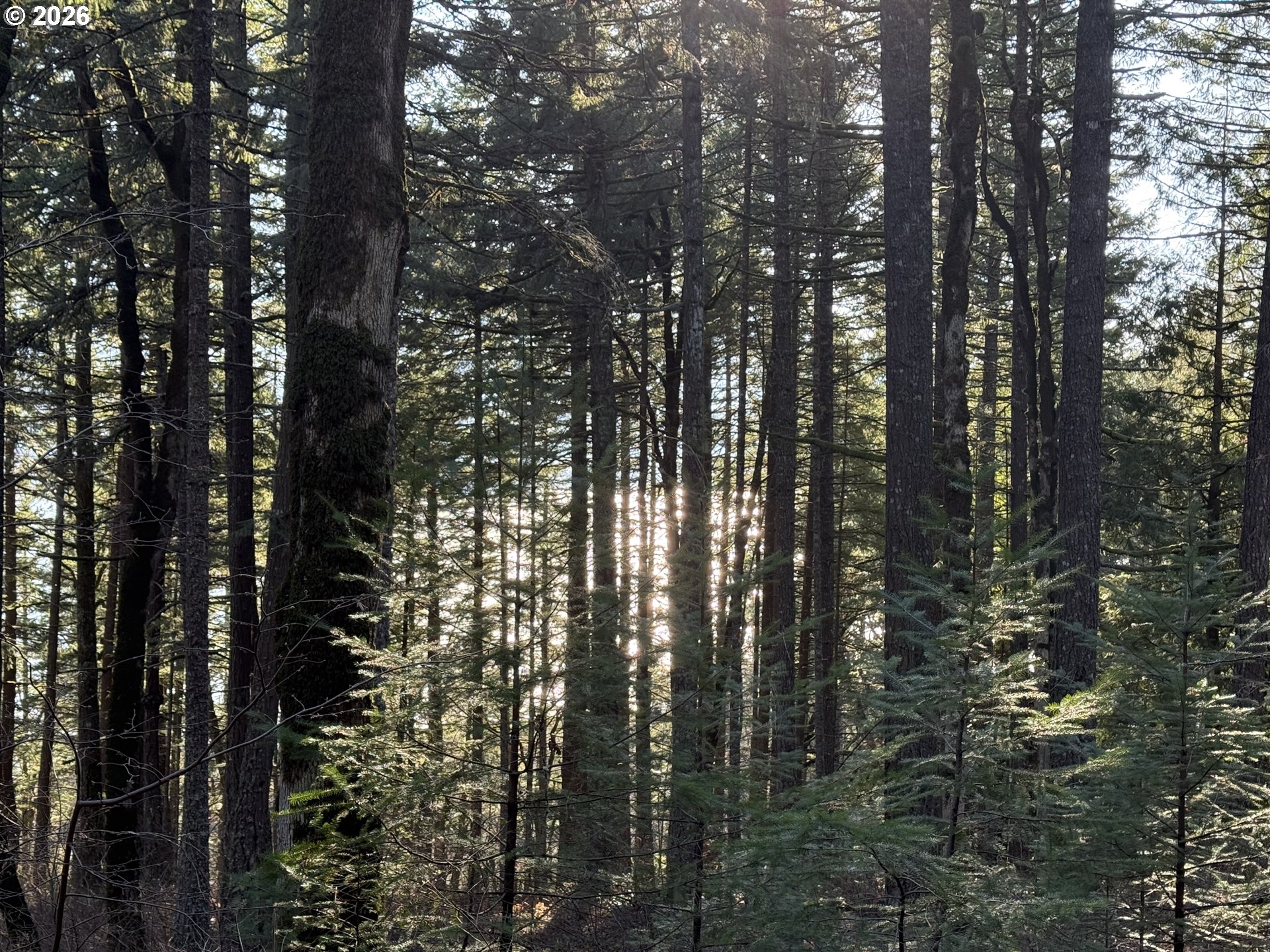 Seward Road Stevenson, WA 98648 - Photo 3 of 9