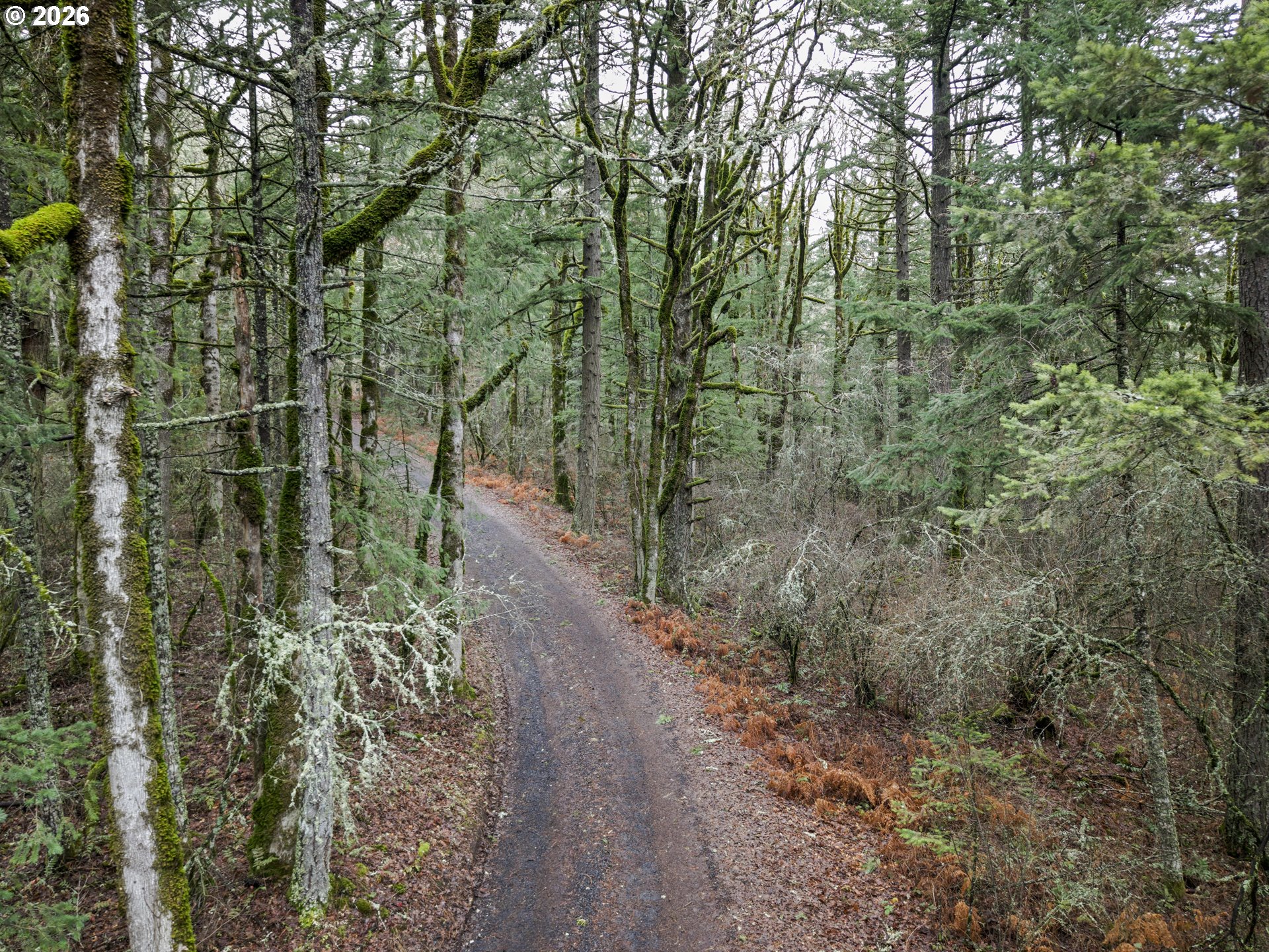 Seward Road Stevenson, WA 98648 - Photo 5 of 9