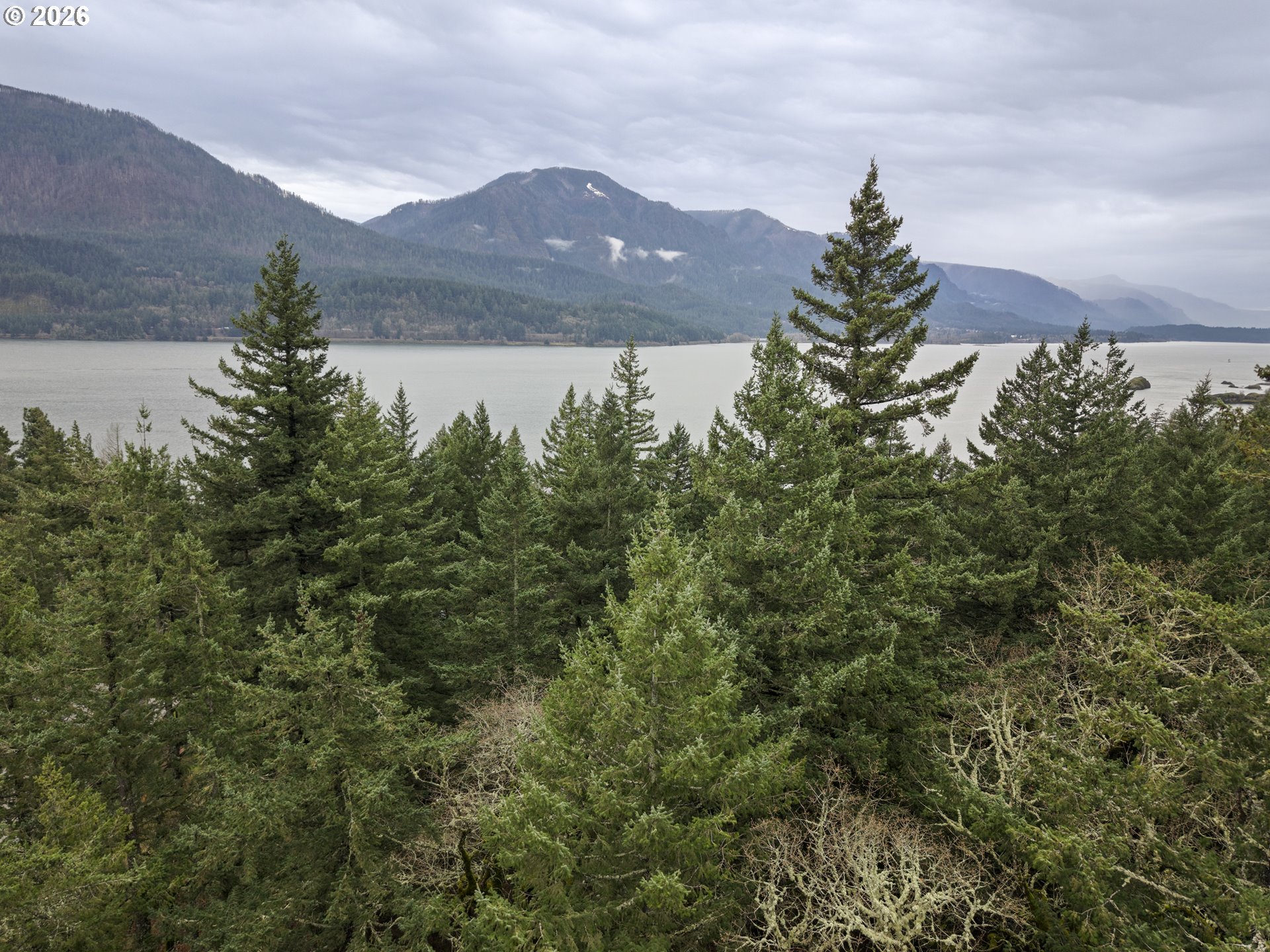 Seward Road Stevenson, WA 98648 - Photo 6 of 9