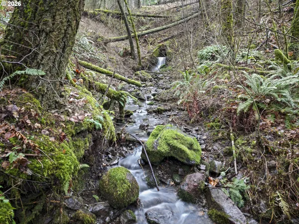 $375,000 | Seward Road, Stevenson, WA 98648