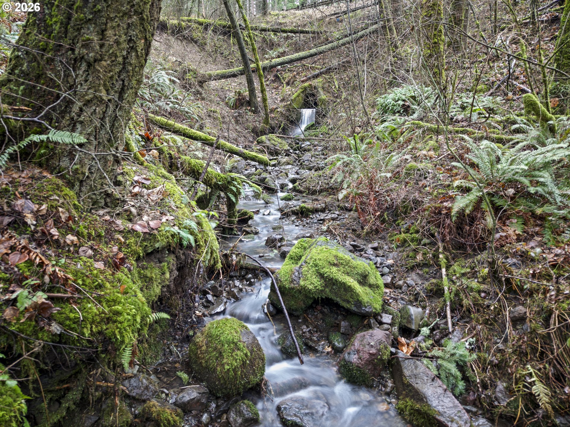 Seward Road Stevenson, WA 98648 - Photo 8 of 9