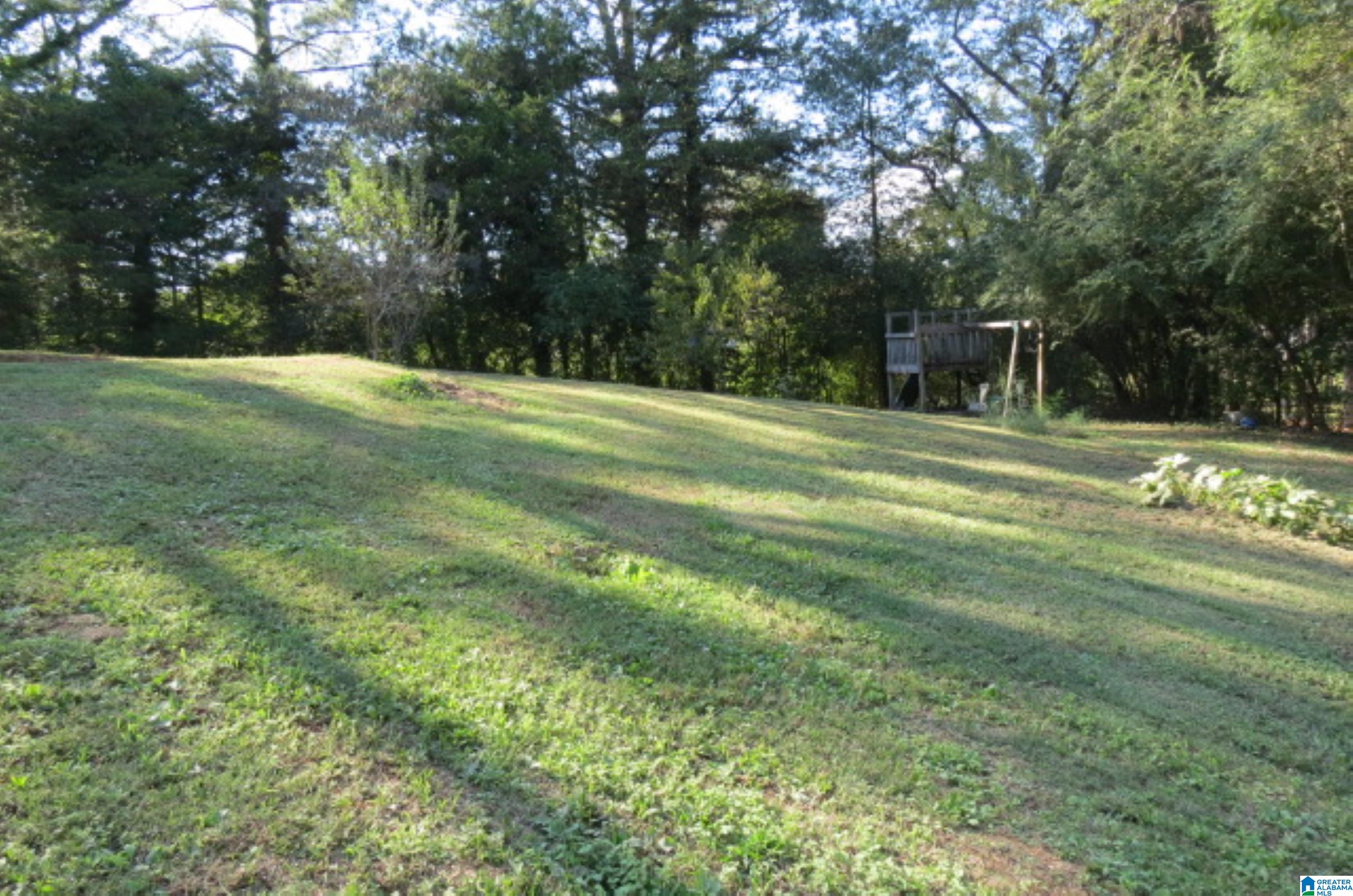 2576 Trafford County Line Road Trafford, AL 35172 - Photo 12 of 14 Gallery Image 12