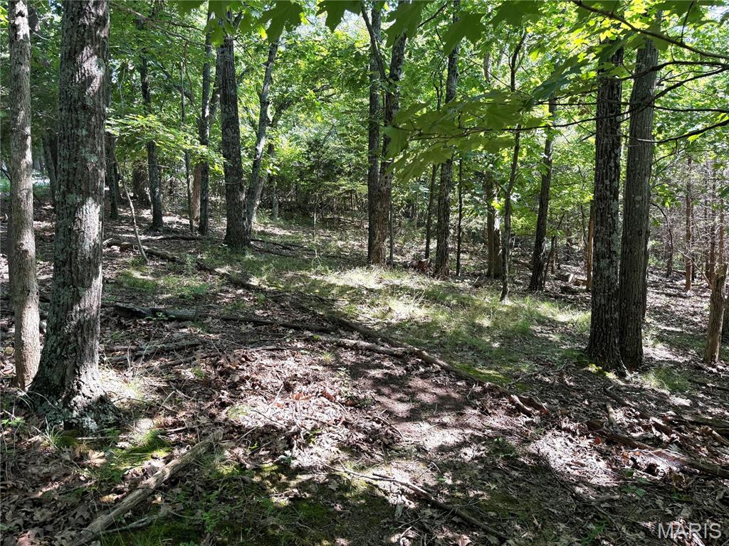 4567 Thunder Ridge Road Wildwood, MO 63025 - Photo 4 of 10
