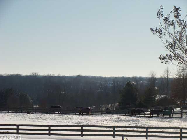 8502 Billet Place Oak Ridge, NC 27310 - Photo 11 of 11 View. View from across street. Rolling Hills of pasture with lots of horses. Very private cul-de-sac street.