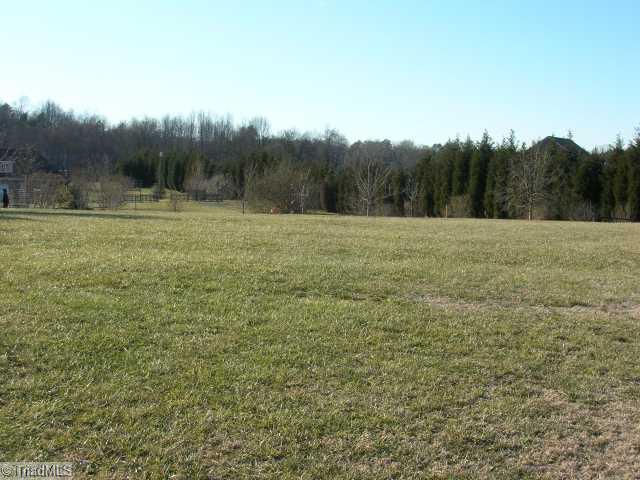 8502 Billet Place Oak Ridge, NC 27310 - Photo 10 of 11 View. View of back yard. Lots of privacy.