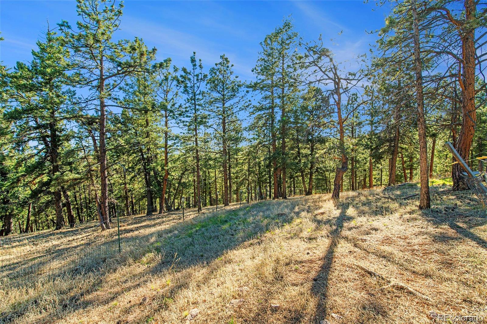 416 Rd D Pine, CO 80470 - Photo 24 of 32 Gallery Image 24