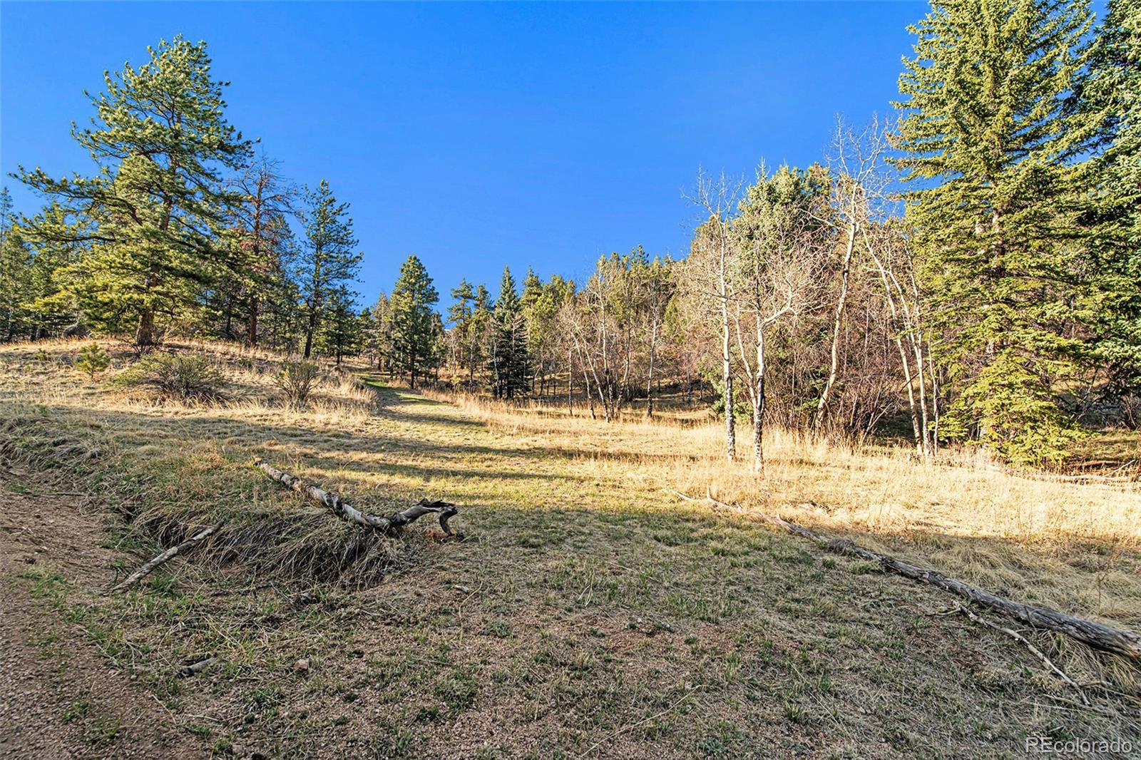 416 Rd D Pine, CO 80470 - Photo 26 of 32 Gallery Image 26