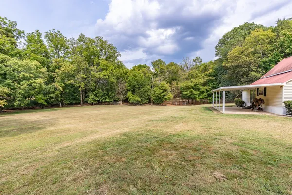 a view of a backyard with large trees and wooden fence