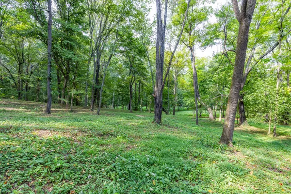 a backyard of a house with lots of trees