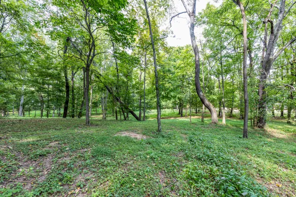 a view of outdoor space with trees