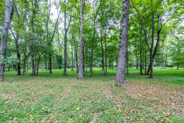 $499,000 | 1502 New Deal Potts Road, Portland, TN 37148