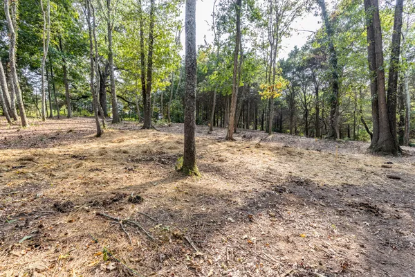 $499,000 | 1502 New Deal Potts Road, Portland, TN 37148