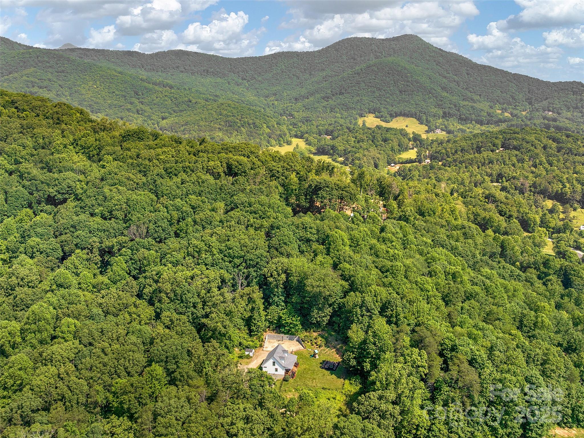 31 Rory Phillips View Candler, NC 28715 - Photo 15 of 36