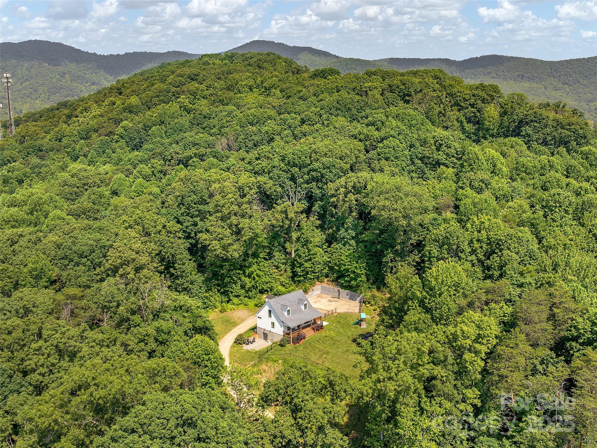 31 Rory Phillips View Candler, NC 28715 - Photo 6 of 36