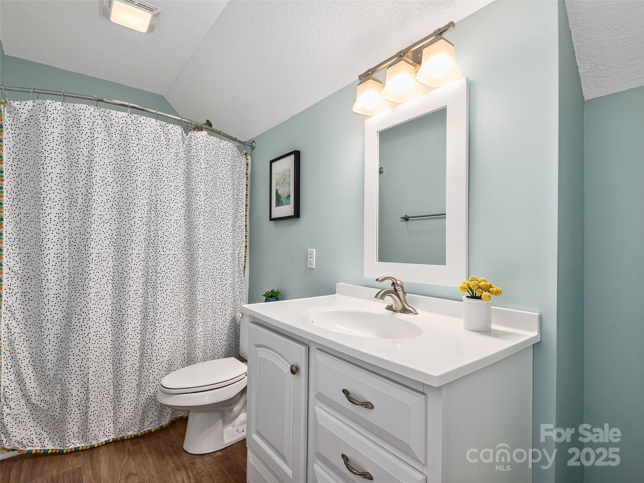 31 Rory Phillips View Candler, NC 28715 - Photo 10 of 36