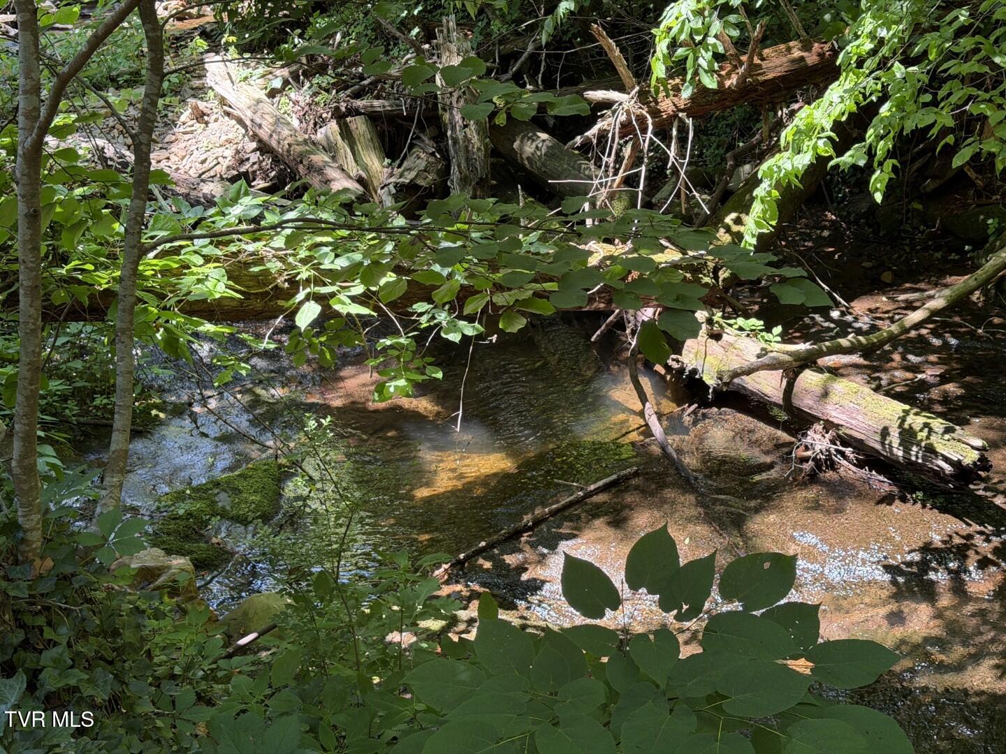 969 Carson Springs Road Newport, TN 37821 - Photo 27 of 35 24.6