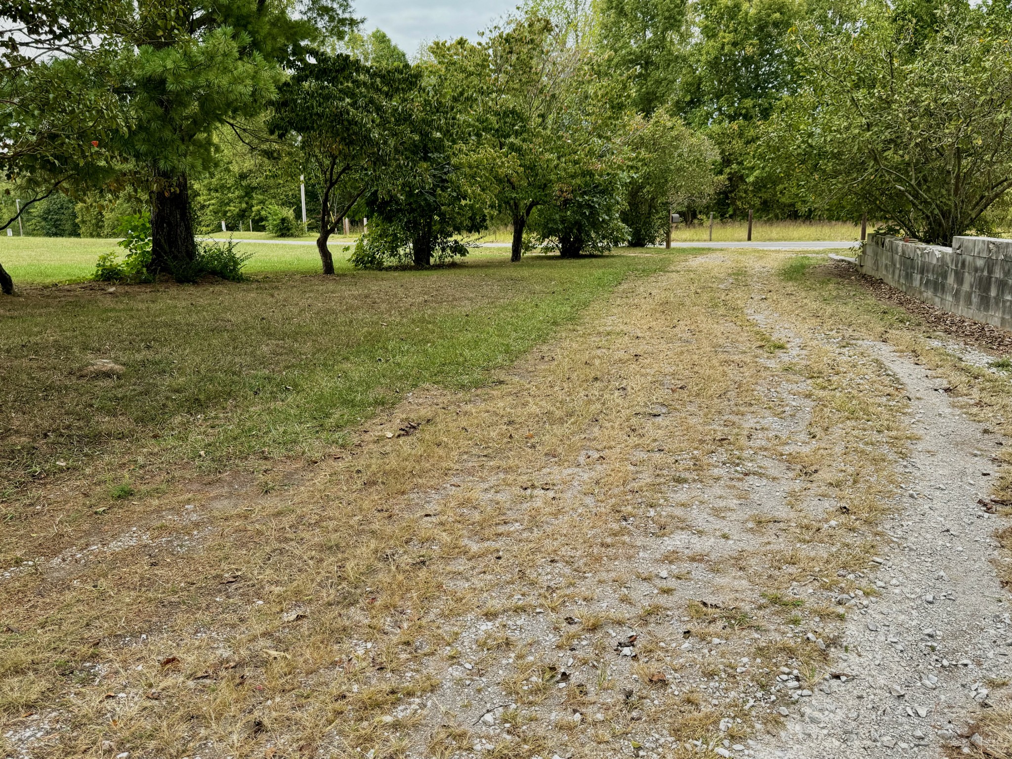 454 Chestnut Grove Road Morrison, TN 37357 - Photo 54 of 58 a view of a yard with trees