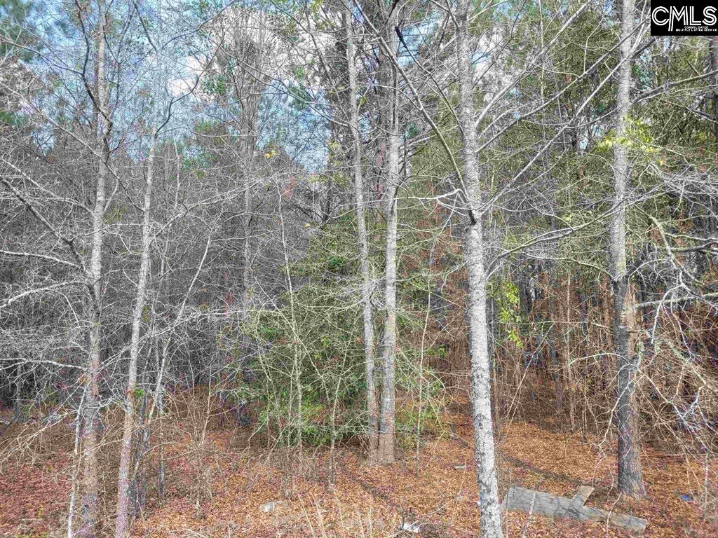239 House Road Eastover, SC 29044 - Photo 2 of 10