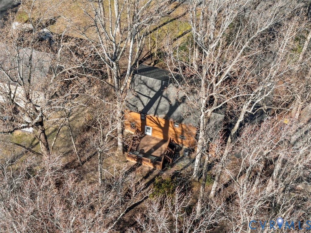 4701 Black Oak Road North Chesterfield, VA 23237 - Photo 47 of 47 a picture of tree