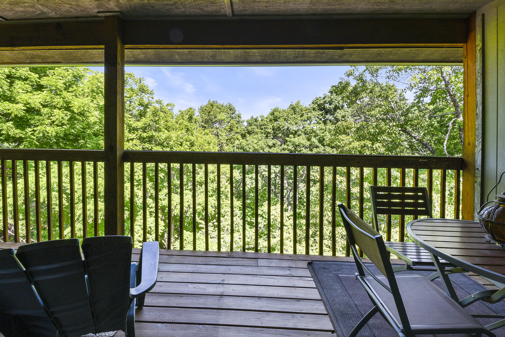 437 Notch Lane, Unit 9 Reeds Spring, MO 65737 - Photo 24 of 37 Incredible views