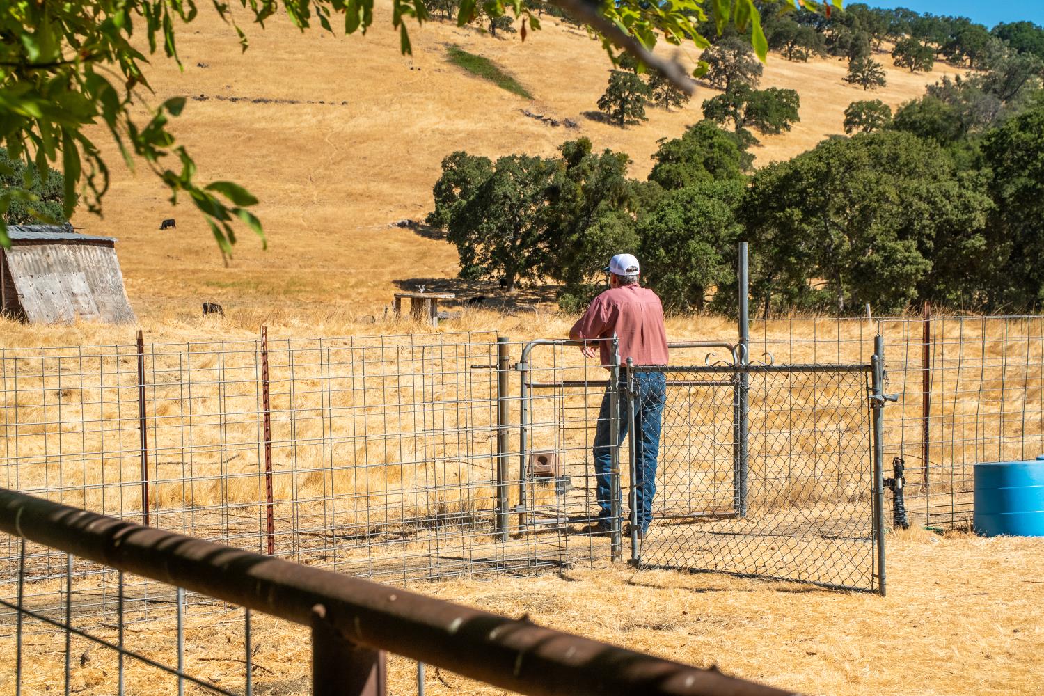 3206 Gillam Road Valley Springs, CA 95252 - Photo 25 of 44
