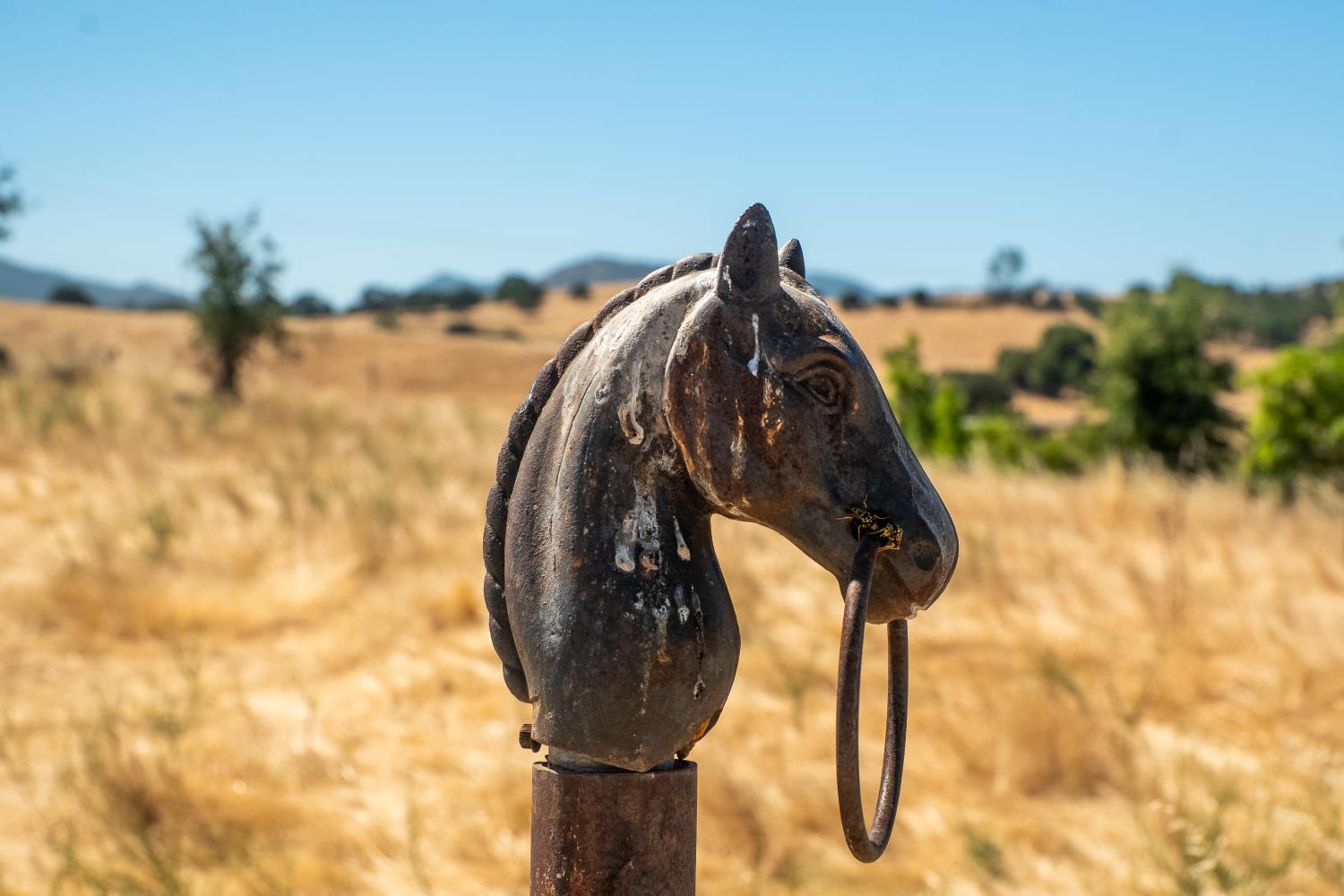 3206 Gillam Road Valley Springs, CA 95252 - Photo 30 of 44 a view of staircase in front of house