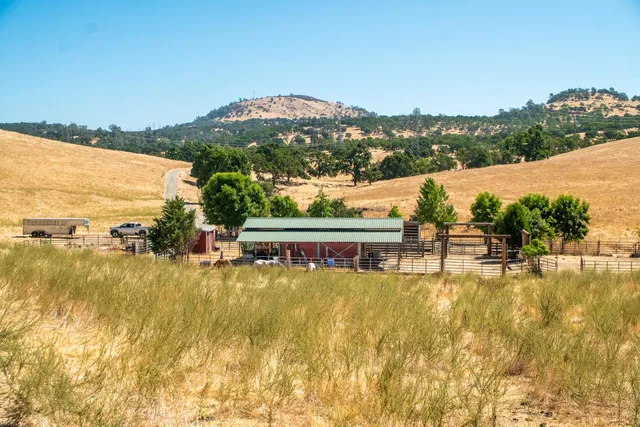 a view of a city with ocean
