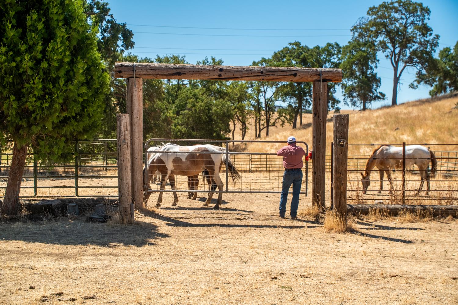 3206 Gillam Road Valley Springs, CA 95252 - Photo 38 of 44 a view of a backyard