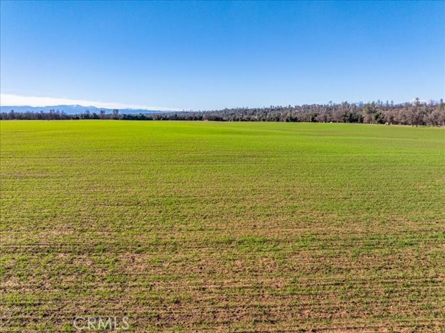0 Old Gold Road Cottonwood, CA 96022 - Photo 11 of 53