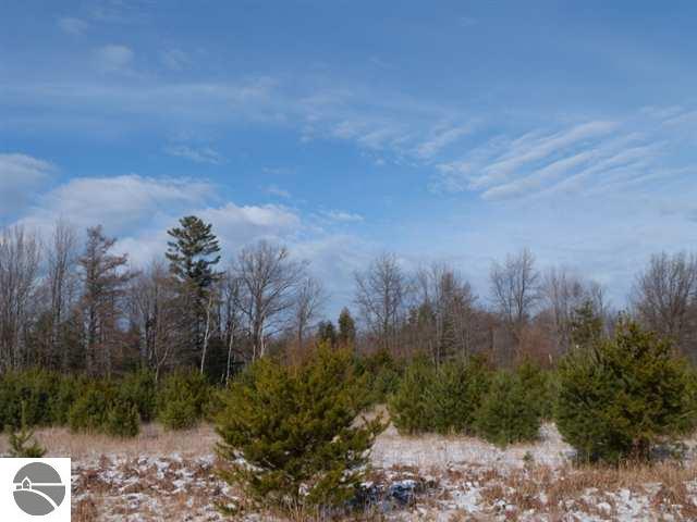 0 Quade Road Free Soil, MI 49411 - Photo 13 of 25 1733334-12.JPG