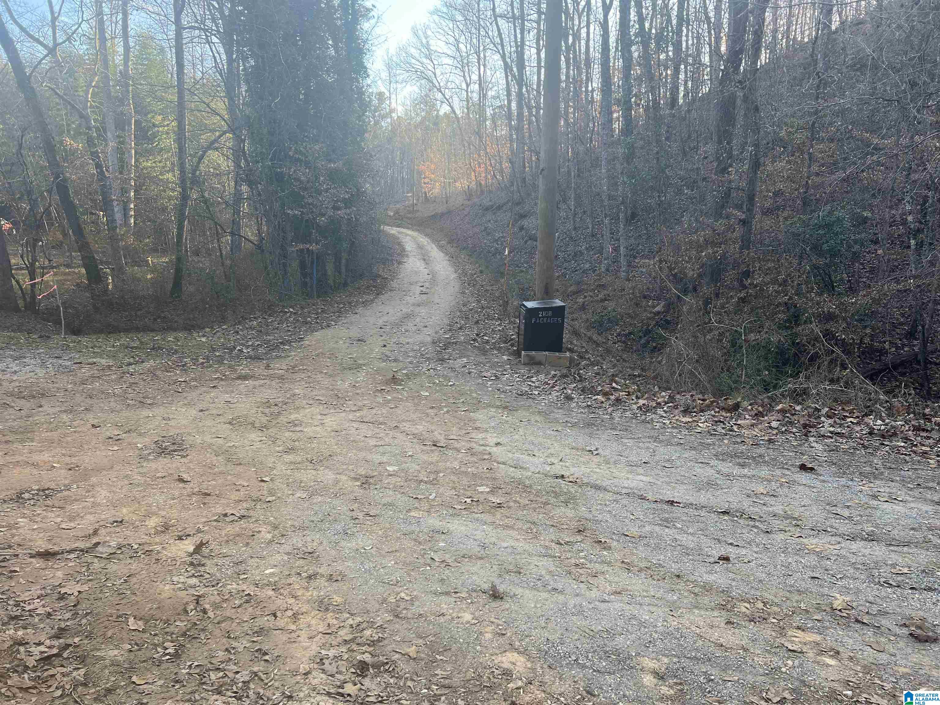 0 Old Rockhouse Road Sylacauga, AL 35150 - Photo 5 of 6