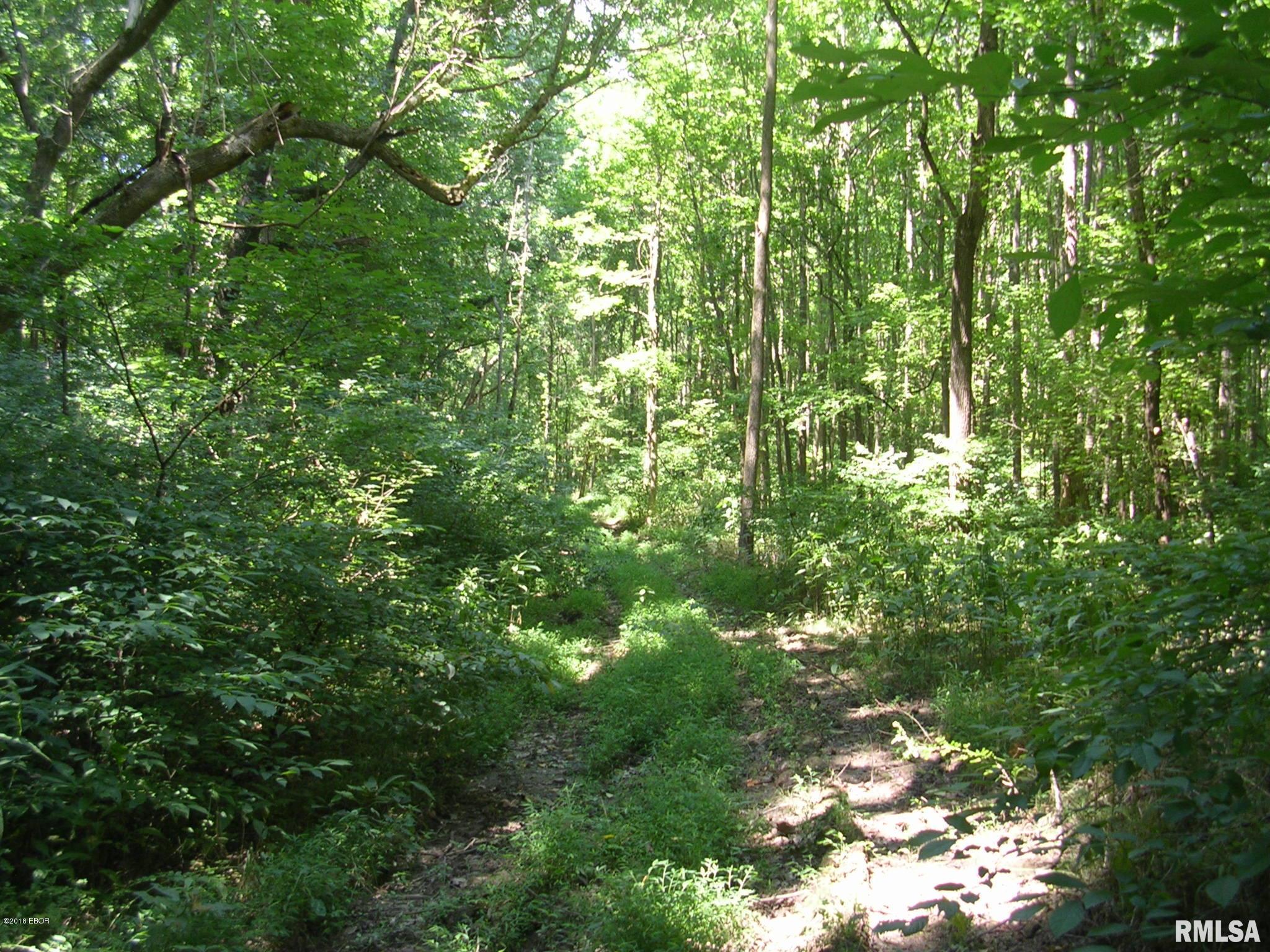 1500 Allen Road Buncombe, IL 62912 - Photo 20 of 25