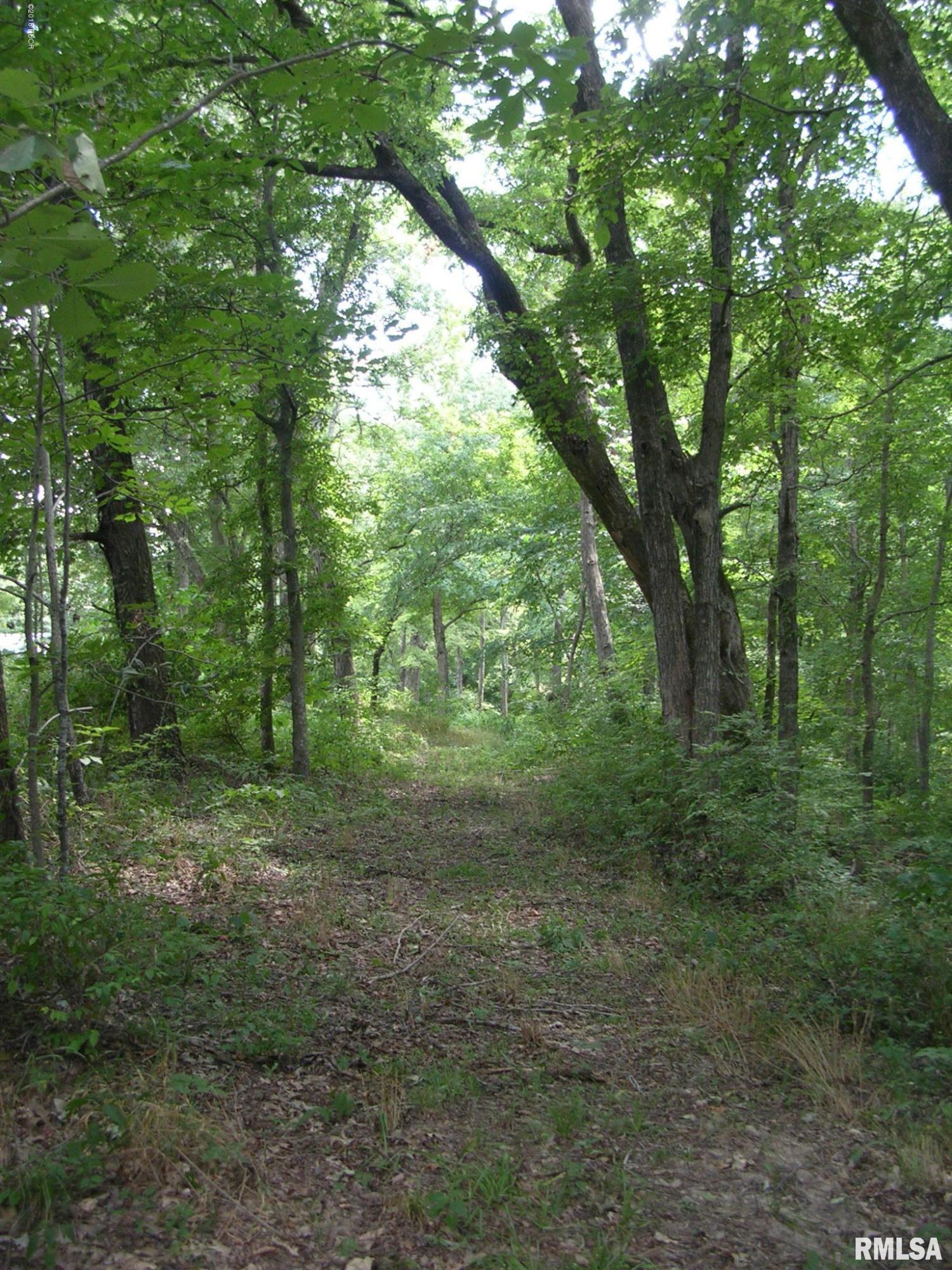 1500 Allen Road Buncombe, IL 62912 - Photo 23 of 25