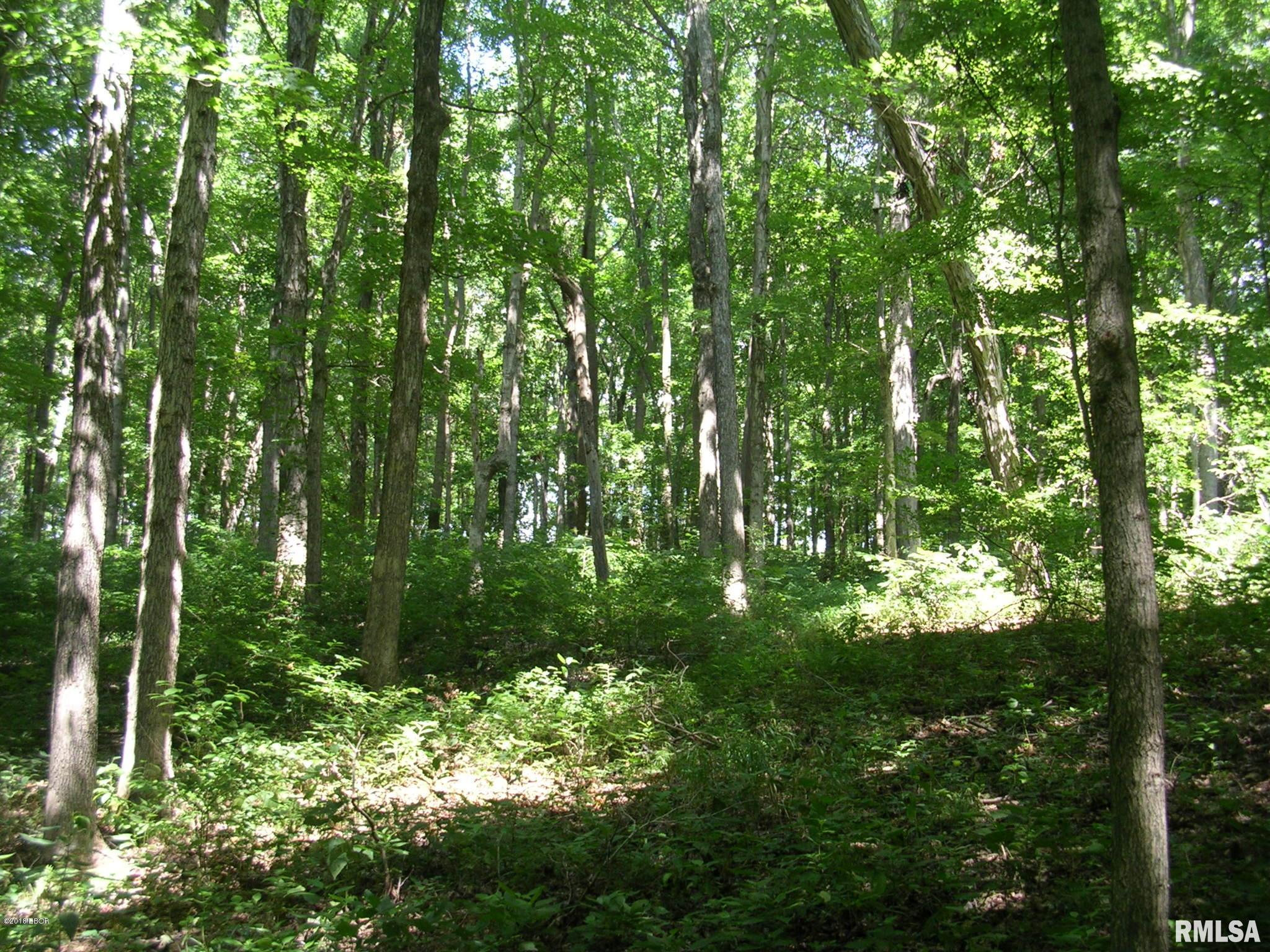 1500 Allen Road Buncombe, IL 62912 - Photo 8 of 25