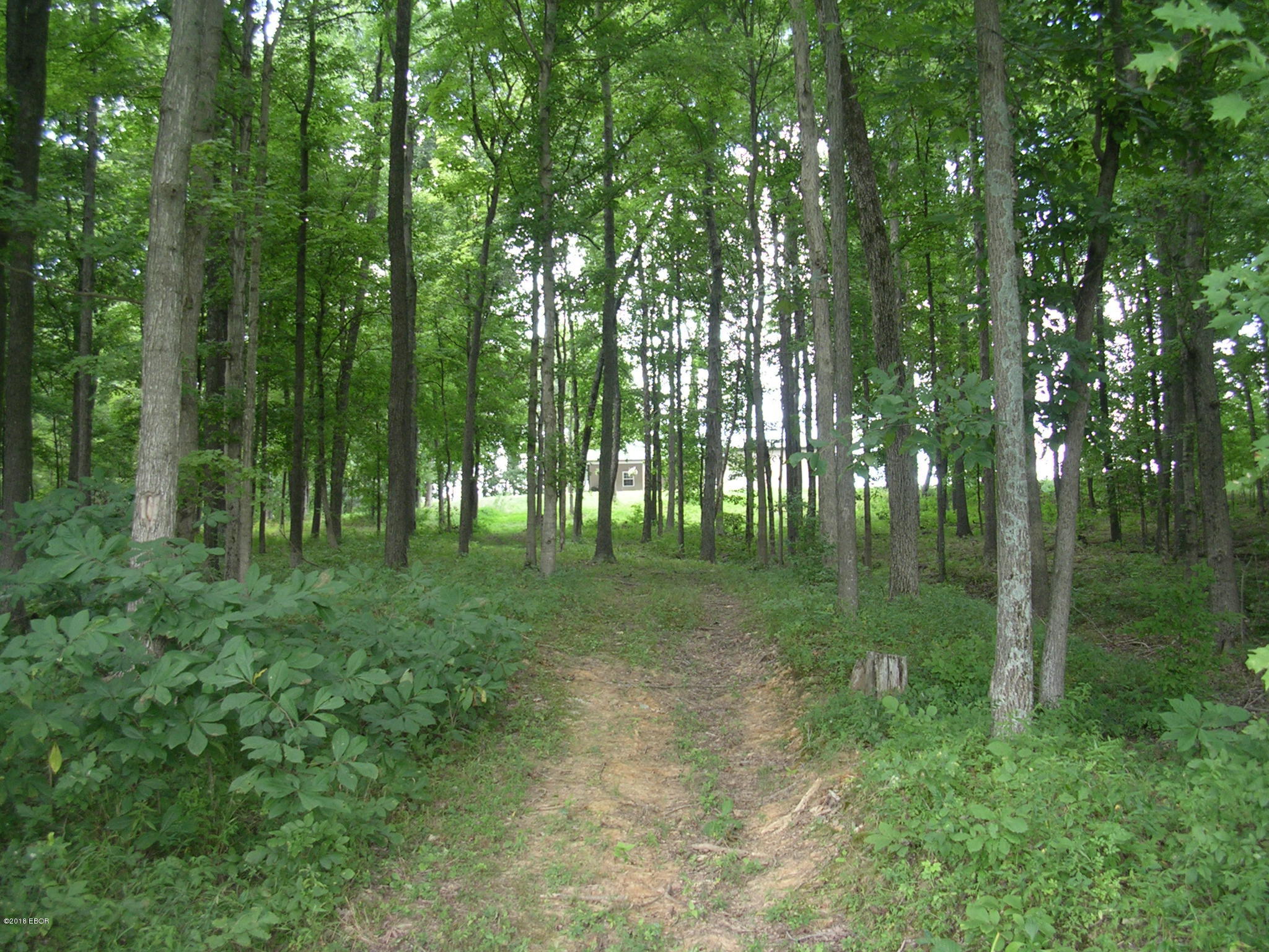 1500 Allen Road Buncombe, IL 62912 - Photo 9 of 25