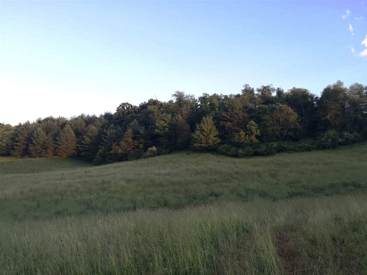 640 Smoky Row Road Staunton, VA 24401 - Photo 13 of 22 a view of field and trees in background