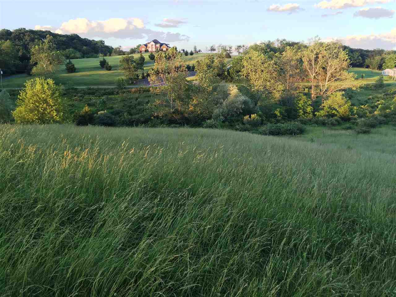 640 Smoky Row Road Staunton, VA 24401 - Photo 15 of 22 a view of grassy field with trees