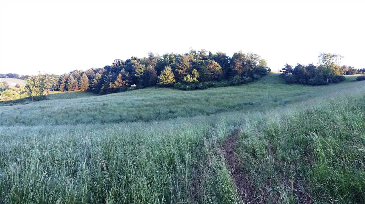640 Smoky Row Road Staunton, VA 24401 - Photo 17 of 22 a view of a field of grass and trees