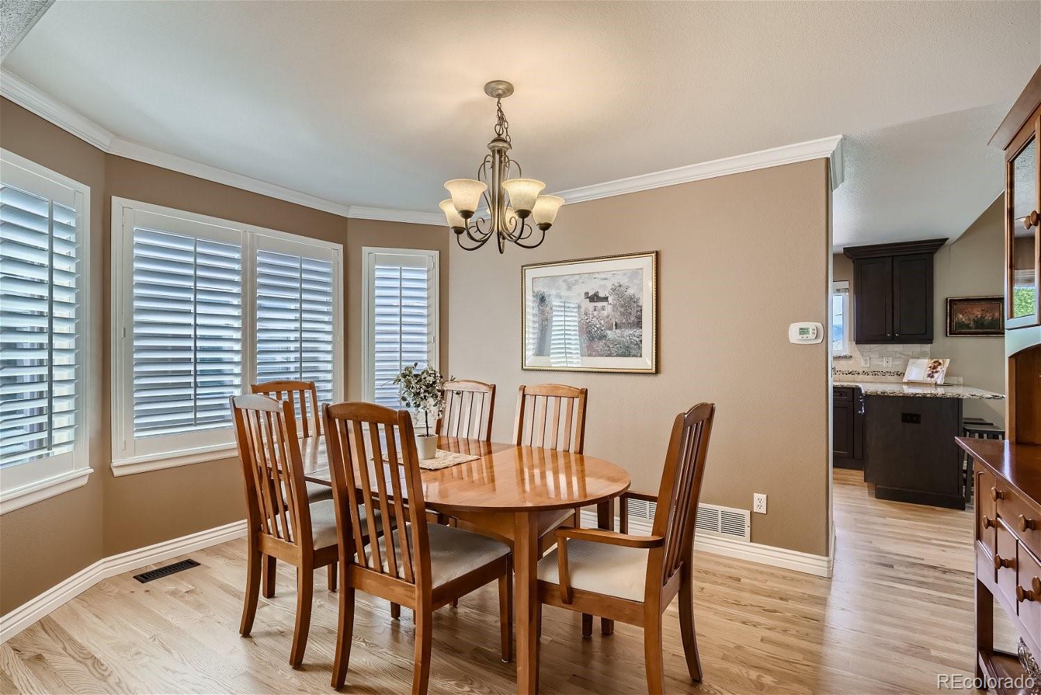 9946 Silver Maple Road Highlands Ranch, CO 80129 - Photo 15 of 40 Gallery Image 15