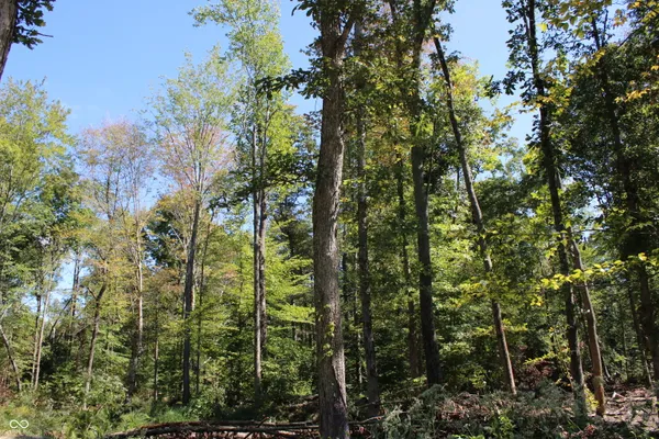 $85,680 | Tract 11-7530 West Private Road 775 South, Commiskey, IN 47227