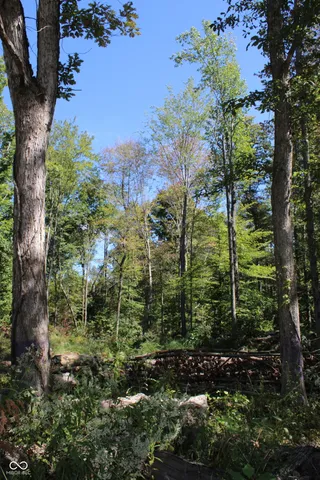 $85,680 | Tract 11-7530 West Private Road 775 South, Commiskey, IN 47227