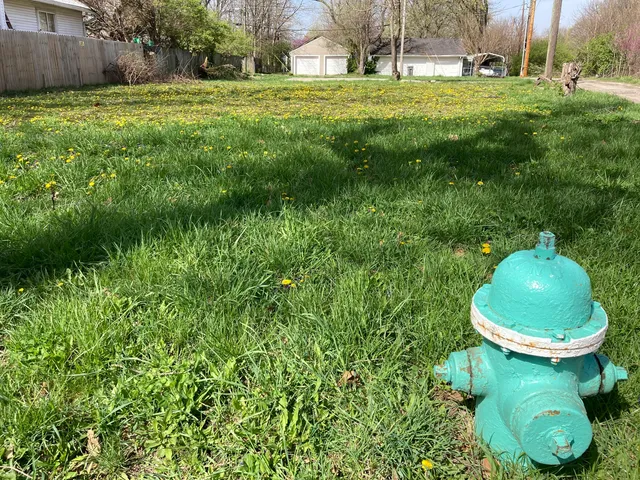 $38,500 | 324 South Spencer Avenue, Indianapolis, IN 46219