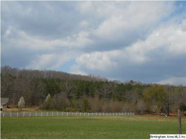 0 Rainbow Ridge Road, Unit 30 ACRES Anniston, AL 36207 - Photo 11 of 12