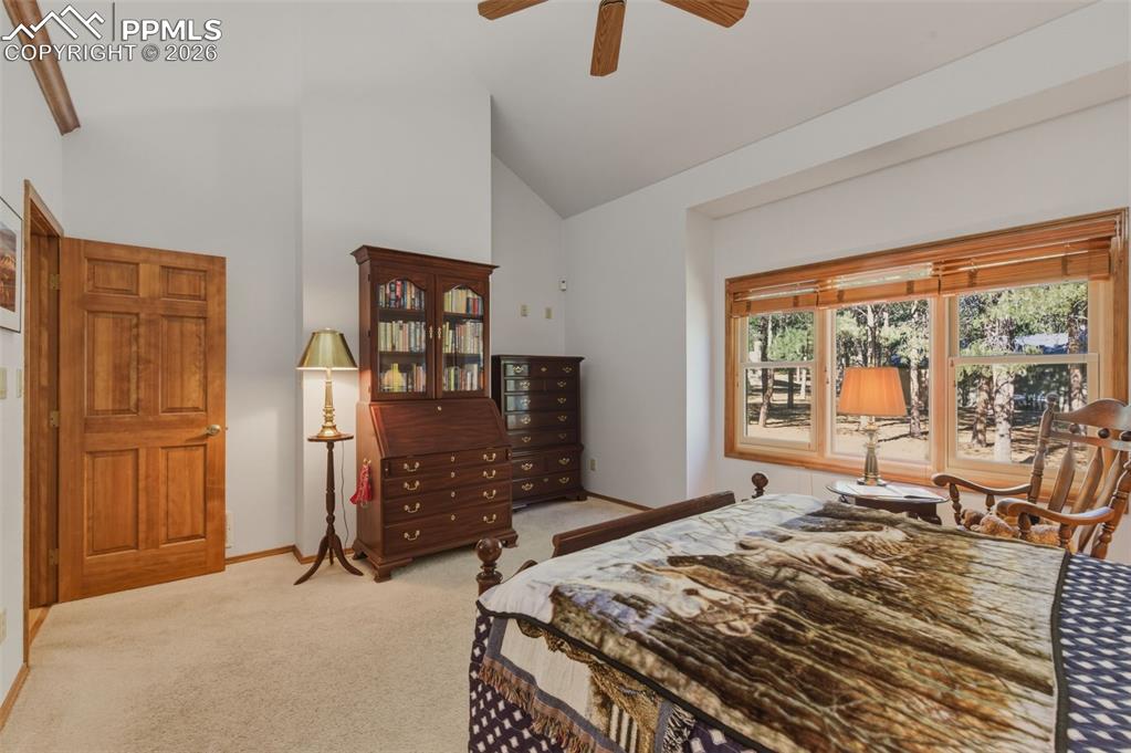460 St Moritz Way Monument, CO 80132 - Photo 22 of 43
