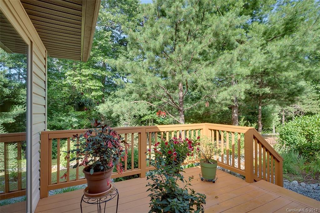700 Thunder Road, Unit 124 Brevard, NC 28712 - Photo 7 of 13 Gallery Image 7