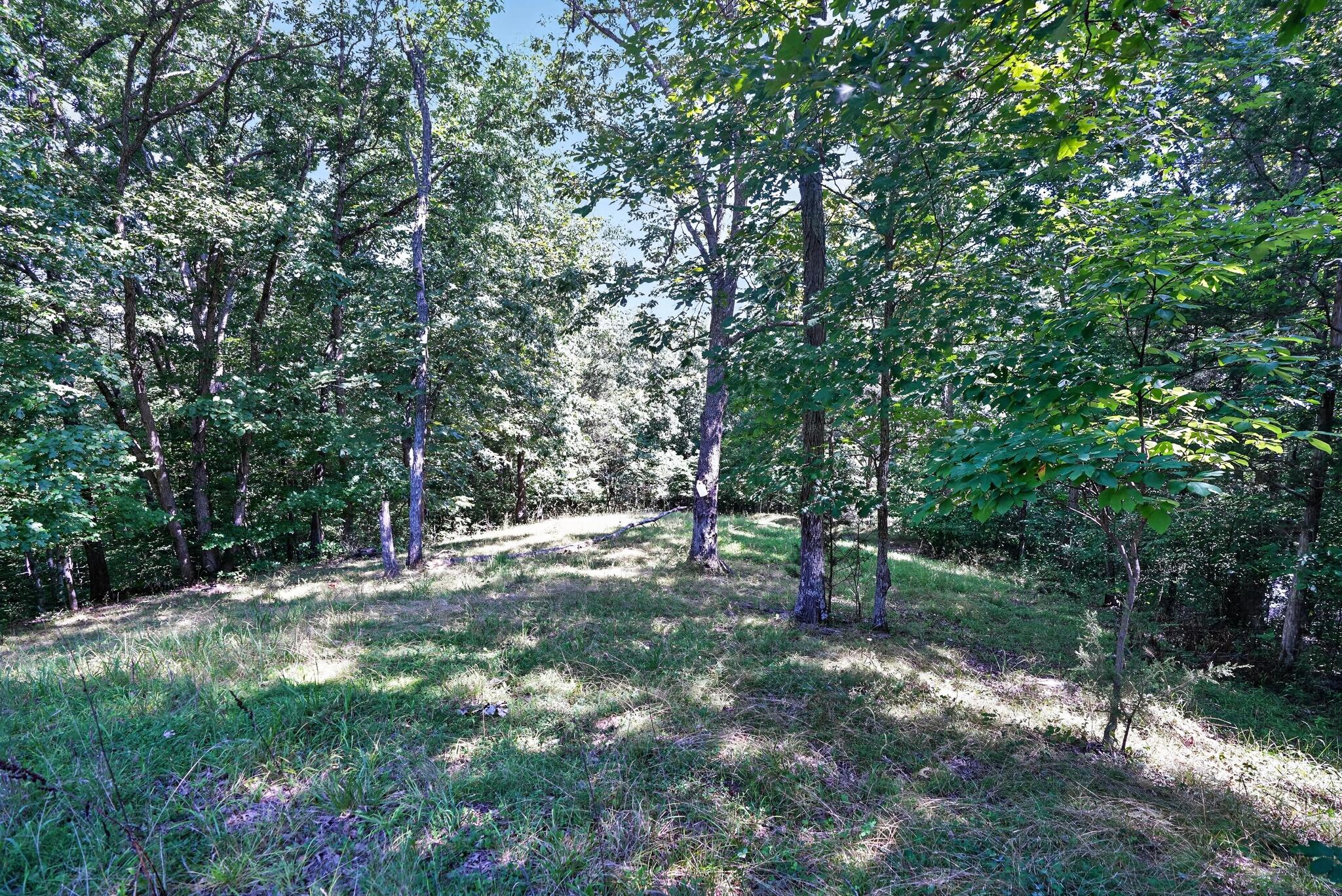 2950 Stringtown Road Corinth, KY 41010 - Photo 41 of 45 38_2950_Stringtown_Rd-Others-7252