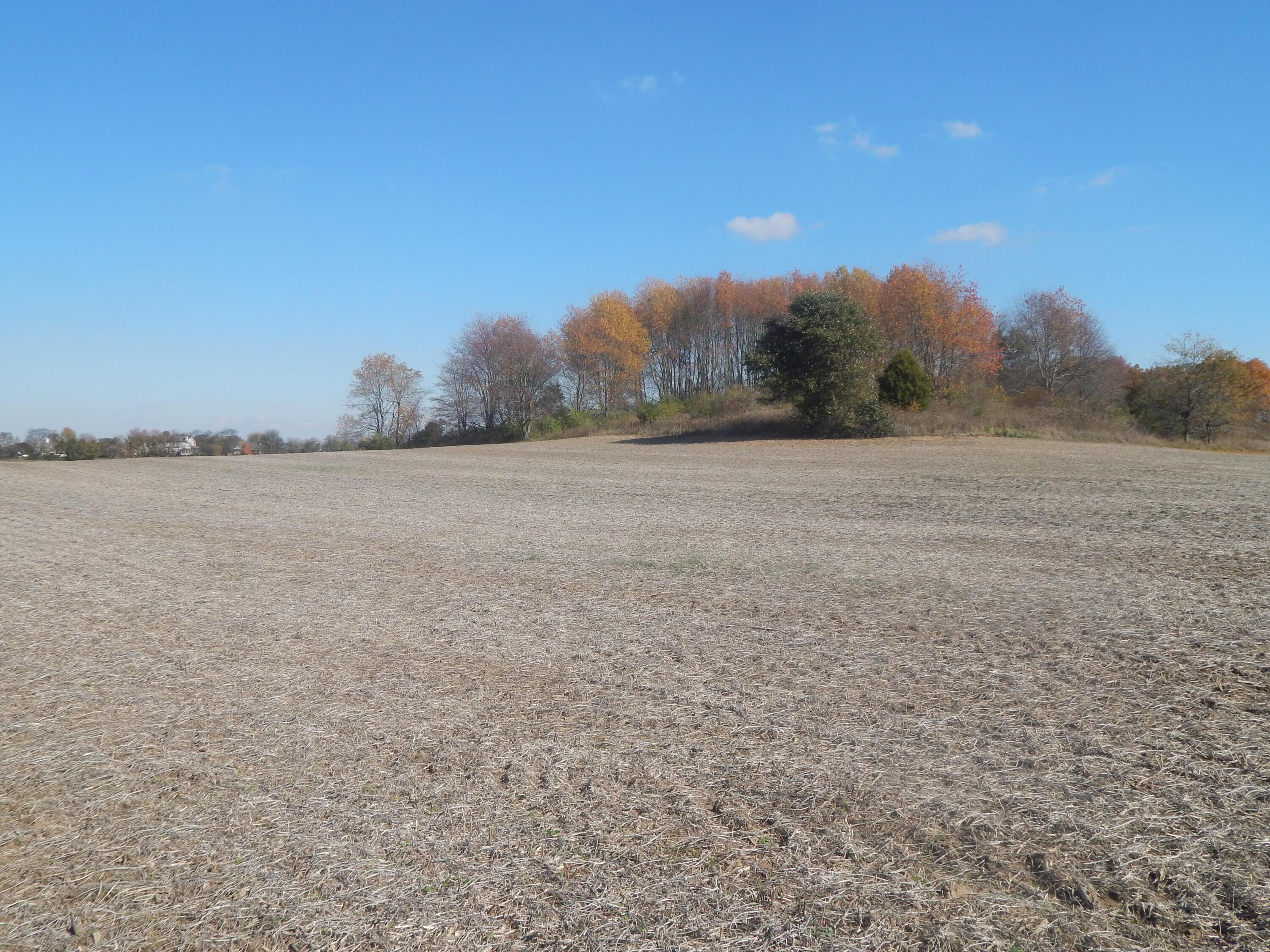 0 Plum Road Northwest Carroll, OH 43112 - Photo 11 of 18 DSCN0205