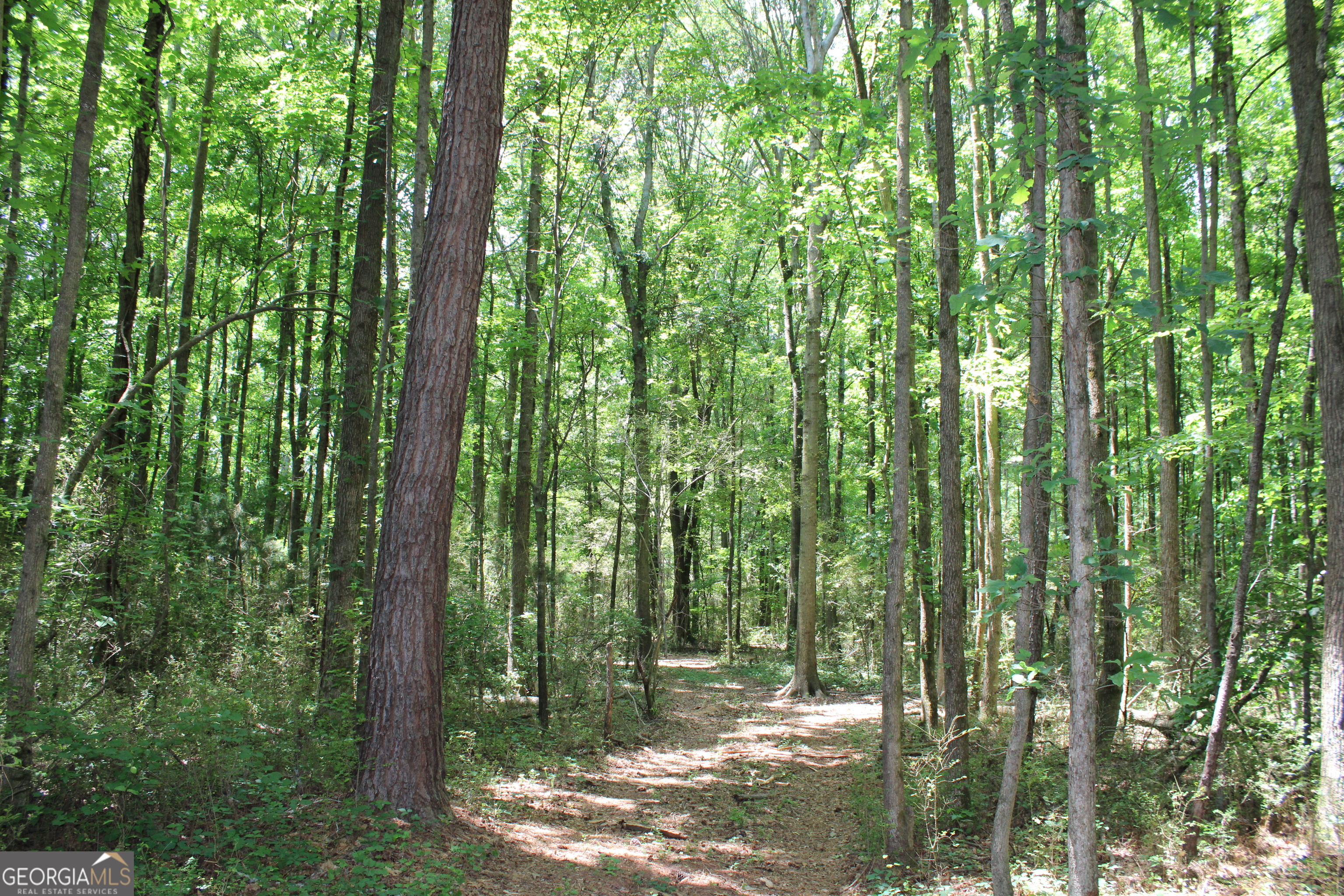 1 Neese Commerce Road Commerce, GA 30530 - Photo 4 of 16