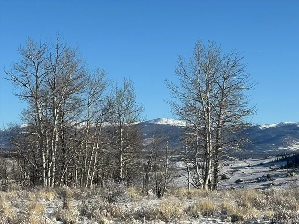 a view of a big yard with a forest